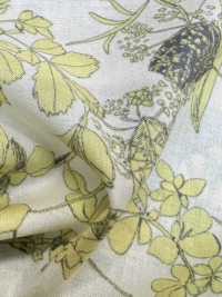 3026-650-6 60 Vải Cotton Lawn Hokkoh Ảnh phụ