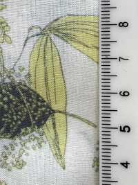 3026-650-6 60 Vải Cotton Lawn Hokkoh Ảnh phụ
