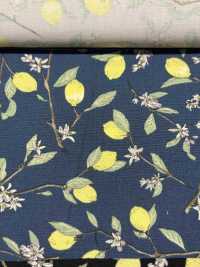 KTS6951 In Hình Quả Chanh Với Nhánh Vải Broadcloth Ảnh phụ
