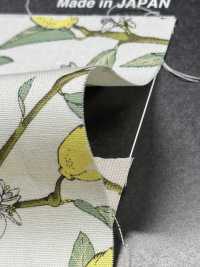 KTS6951 In Hình Quả Chanh Với Nhánh Vải Broadcloth Ảnh phụ