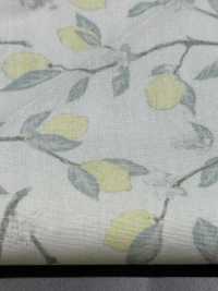 KTS6951 In Hình Quả Chanh Với Nhánh Vải Broadcloth Ảnh phụ