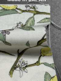 KTS6951 In Hình Quả Chanh Với Nhánh Vải Broadcloth Ảnh phụ