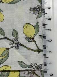 KTS6951 In Hình Quả Chanh Với Nhánh Vải Broadcloth Ảnh phụ