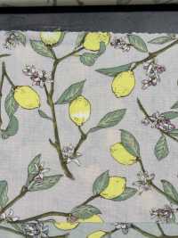 KTS6951 In Hình Quả Chanh Với Nhánh Vải Broadcloth Ảnh phụ