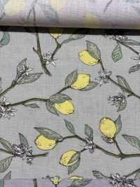 KTS6951 In Hình Quả Chanh Với Nhánh Vải Broadcloth Ảnh phụ