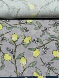 KTS6951 In Hình Quả Chanh Với Nhánh Vải Broadcloth Ảnh phụ
