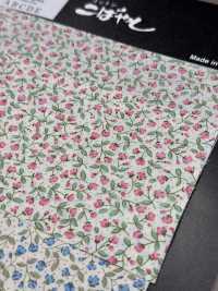 KTS7115 In Gypsophila Vải Broadcloth Ảnh phụ
