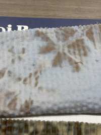 DCL658 Corduroy Nhung Tăm 6W[Vải] Kumoi Beauty Ảnh phụ