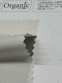 SBT-010 Vải Cotton Typewritter Tamamushi Làm Từ Bông Hữu Cơ Kuwamura Ảnh phụ