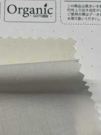 SBT-010 Vải Cotton Typewritter Tamamushi Làm Từ Bông Hữu Cơ Kuwamura Ảnh phụ