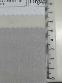 SBT-010 Vải Cotton Typewritter Tamamushi Làm Từ Bông Hữu Cơ Kuwamura Ảnh phụ