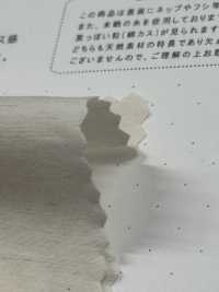 STL-9213 Vải Cotton Typewritter Sợi Gai Kuwamura Ảnh phụ