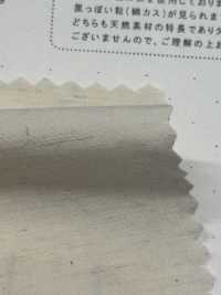 STL-9213 Vải Cotton Typewritter Sợi Gai Kuwamura Ảnh phụ