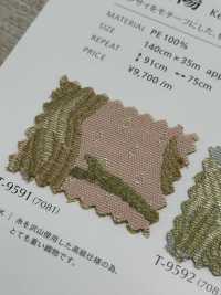 KEIJIYOU Kinh Tử Dương[Vải] Shinko Ảnh phụ
