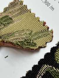 FIRST Đầu Tiên[Vải] Shinko Ảnh phụ