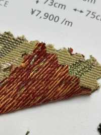 FIRST Đầu Tiên[Vải] Shinko Ảnh phụ