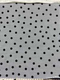 HP-5087-1 Vải Cotton Tenjiku 50d Hokkoh Ảnh phụ