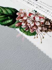 KDP1401-58-DD-783 Áo Thun 80 % Vải Cotton Typewritter Chữ Uni Textile Ảnh phụ