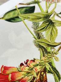 KDP7711-58-DD899 Giấy Ruy Băng Gân Sần Mỏng, Khổ Rộng, In Phun Mực.[Vải] Uni Textile Ảnh phụ