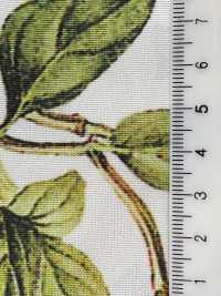 KDP7711-58-DD899 Giấy Ruy Băng Gân Sần Mỏng, Khổ Rộng, In Phun Mực.[Vải] Uni Textile Ảnh phụ