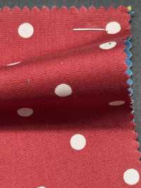 5024-333-1 Slendot Vải Broadcloth Hokkoh Ảnh phụ