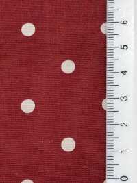 5024-333-1 Slendot Vải Broadcloth Hokkoh Ảnh phụ