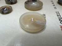 OPU312 Cúc Nhựa Resin Bốn Lỗ Hình Sừng Trâu Nước DAIYA BUTTON Ảnh phụ