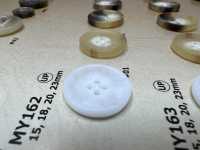 MY162 Cúc Nhựa Resin Bốn Lỗ Hình Sừng Trâu Nước DAIYA BUTTON Ảnh phụ