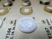 MY166 Cúc Nhựa Resin Bốn Lỗ Hình Sừng Trâu Nước DAIYA BUTTON Ảnh phụ