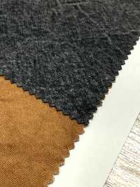 SK-1600 Canvas Số 10[Vải] KOYAMA Ảnh phụ