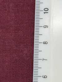 RN5061 Vải Cotton Lawn Platt Air In Của Vải Lanh Và Giấy Washi KOYAMA Ảnh phụ