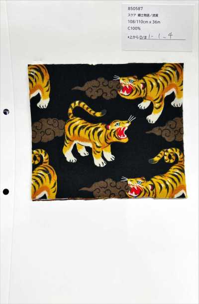 850587 Skea Câu Chuyện Quê Hương, Kojitsu