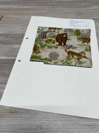 850569 Vải Broadcloth Junk Vintage Savannah VANCET Ảnh phụ