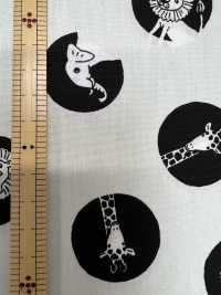 850567 Vải Broadcloth Dot VANCET Ảnh phụ