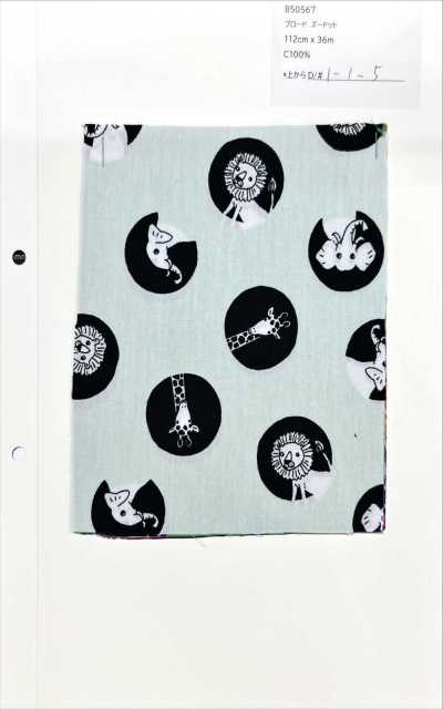 850567 Vải Broadcloth Z-dot