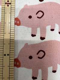 850576 Vải Vải Oxford Cotton Boo Boo Pig Chưa Tẩy Trắng VANCET Ảnh phụ