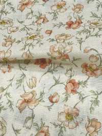 83068 Bộ Sưu Tập SEVENBERRY® Scare Unbleached Cotton Nostalgia / Shirley[Vải] VANCET Ảnh phụ