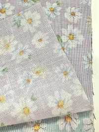 83070 Bộ Sưu Tập SEVENBERRY® Scare Unbleached Cotton Nostalgia / Margarite[Vải] VANCET Ảnh phụ