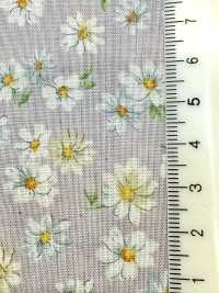 83070 Bộ Sưu Tập SEVENBERRY® Scare Unbleached Cotton Nostalgia / Margarite[Vải] VANCET Ảnh phụ