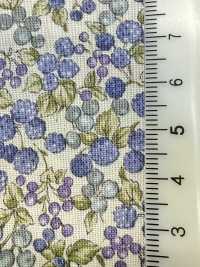 83069 Bộ Sưu Tập SEVENBERRY® Scare Unbleached Cotton Nostalgia / Berry Garden[Vải] VANCET Ảnh phụ