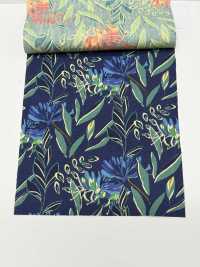 4250 SEVENBERRY® Vải Broadcloth Phong Cách Thư Giãn / Puana VANCET Ảnh phụ