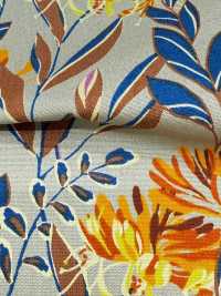 4250 SEVENBERRY® Vải Broadcloth Phong Cách Thư Giãn / Puana VANCET Ảnh phụ