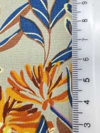 4250 SEVENBERRY® Vải Broadcloth Phong Cách Thư Giãn / Puana VANCET Ảnh phụ