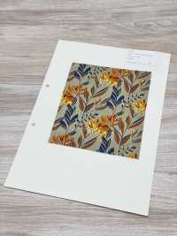 4250 SEVENBERRY® Vải Broadcloth Phong Cách Thư Giãn / Puana VANCET Ảnh phụ