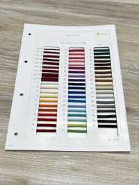 HC-1123 Dây Cotton S[Ruy Băng, Băng, Dây] Không thương hiệu Ảnh phụ