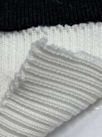 R1555 Sợi Vải Rib 5 Sợi 2x1 Rộng 60cm TAKENAKA CORPORATION Ảnh phụ