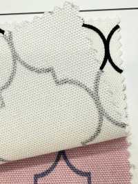 SP5500 Vải Oxford Maroc (Tròn) COSMO TEXTILE Ảnh phụ