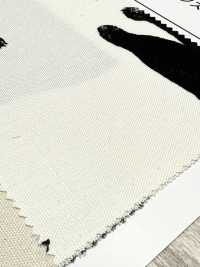 AP52101-DR Kuroneko Vải Oxford(Gấp đôi) COSMO TEXTILE Ảnh phụ