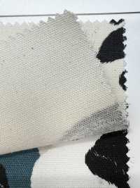 AP35406 Vải Oxford(Cuộn Tròn) COSMO TEXTILE Ảnh phụ