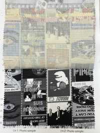 AP55201 Cinefabric Oxford (Cuộn Tròn)[Vải] COSMO TEXTILE Ảnh phụ